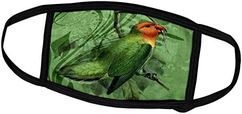 3drose Doreen Erhardt kolekcija Vintage papagaja - Nyasa Lovebird Parrot Vintage ilustracija iz 1894. godine, John Gerrard Keulemans - maske za lice