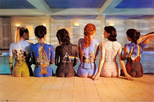 Pink Floyd nazad katalog muzički Album Artwork 36x24 Art Print Poster