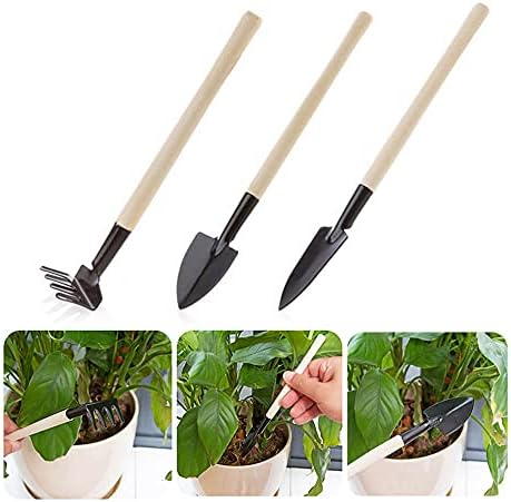 PZRT 3kom Mini lopata Rake Set drvena ručka metalna lopata za glavu za cvijeće biljke u saksiji baštenski