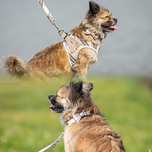 Jvvgpet pas pojas za male pse - Plaid no Pull pas prsluk pojas i povodac Set-korak u reflektirajuće podesive