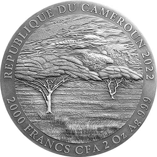 2022 de izrazi divljih životinja Powercoin Buffalo 2 oz Silver Coin 2000 Francs Kamerun 2022 Antikni završetak